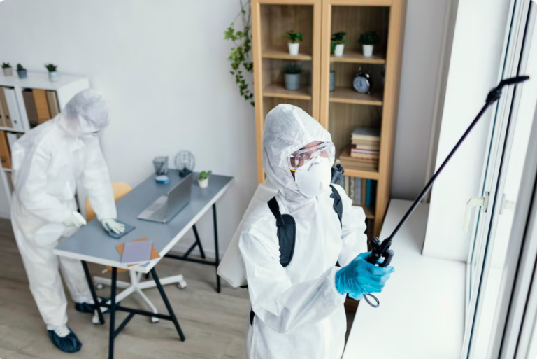 Comprehensive Bed Bug Control In Greenville: How To Detect, Prevent, And Effectively Eliminate Infestations